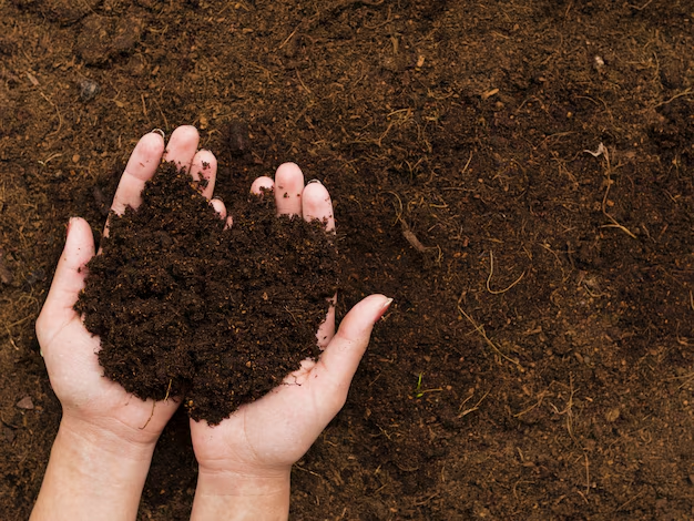 Vermicompost